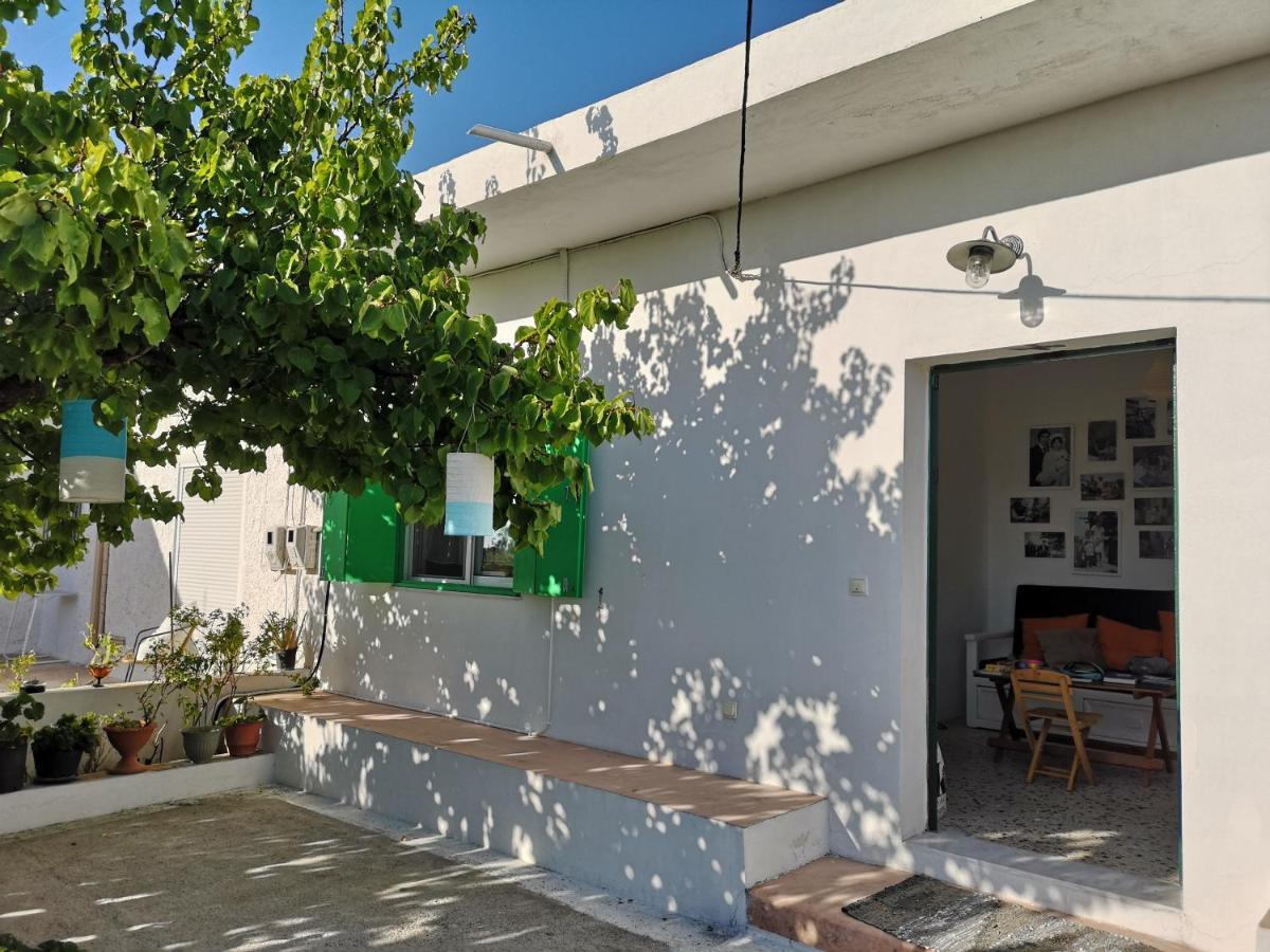 Maison De Village Au Calme - Alonia Village House Psinthos 外观 照片