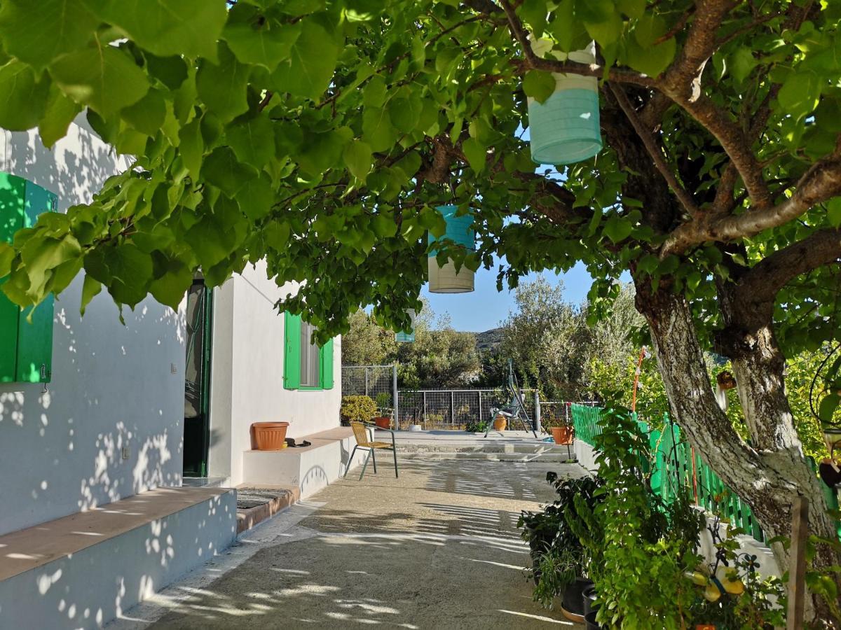 Maison De Village Au Calme - Alonia Village House Psinthos 外观 照片