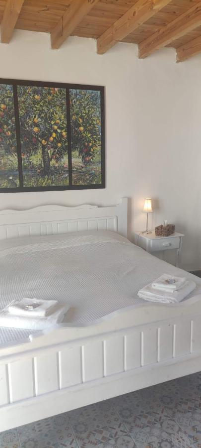 Maison De Village Au Calme - Alonia Village House Psinthos 外观 照片